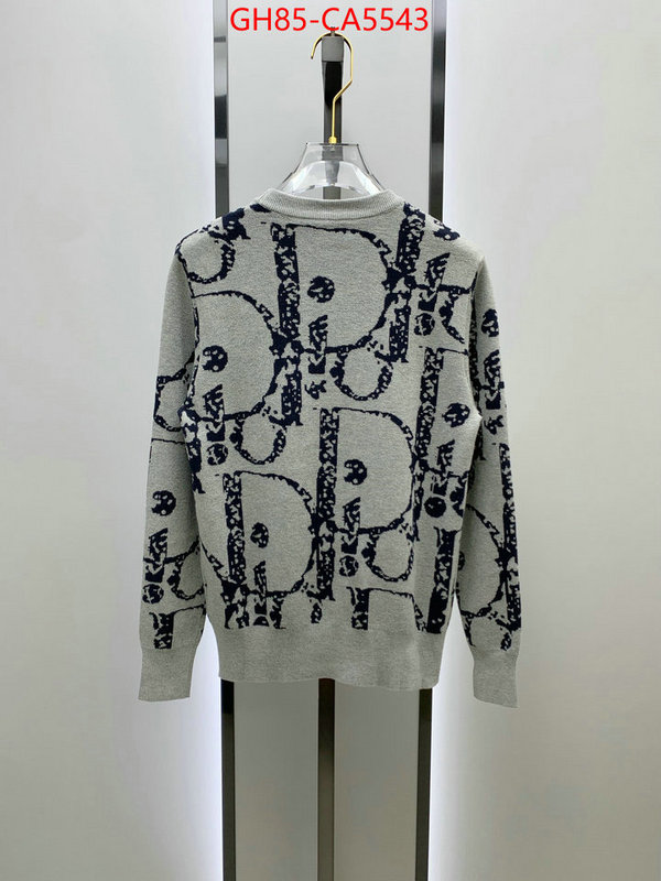 Clothing-Dior sell online luxury designer ID: CA5543 $: 85USD