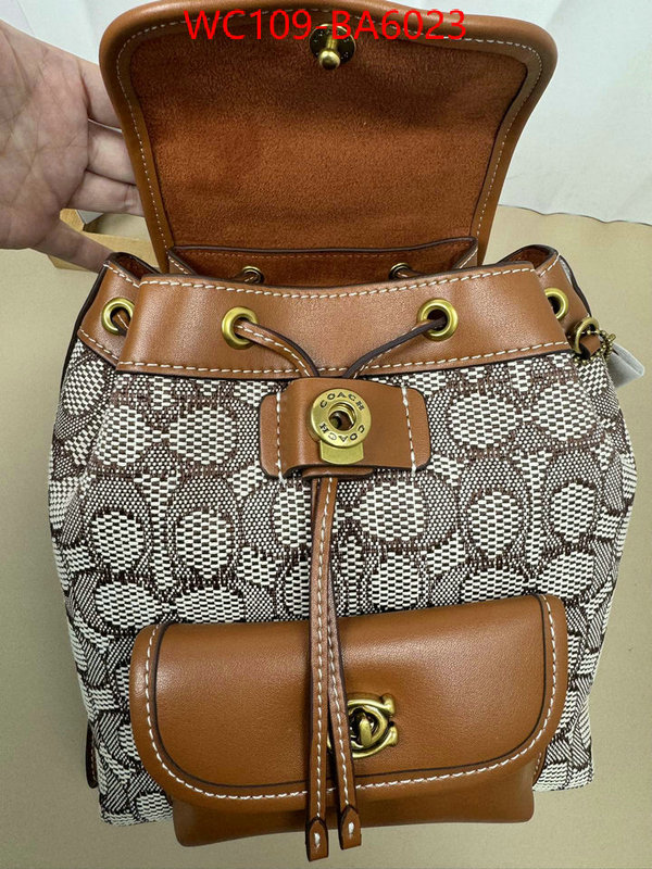 Coach Bags(4A)-Backpack- luxury cheap ID: BA6023 $: 109USD,