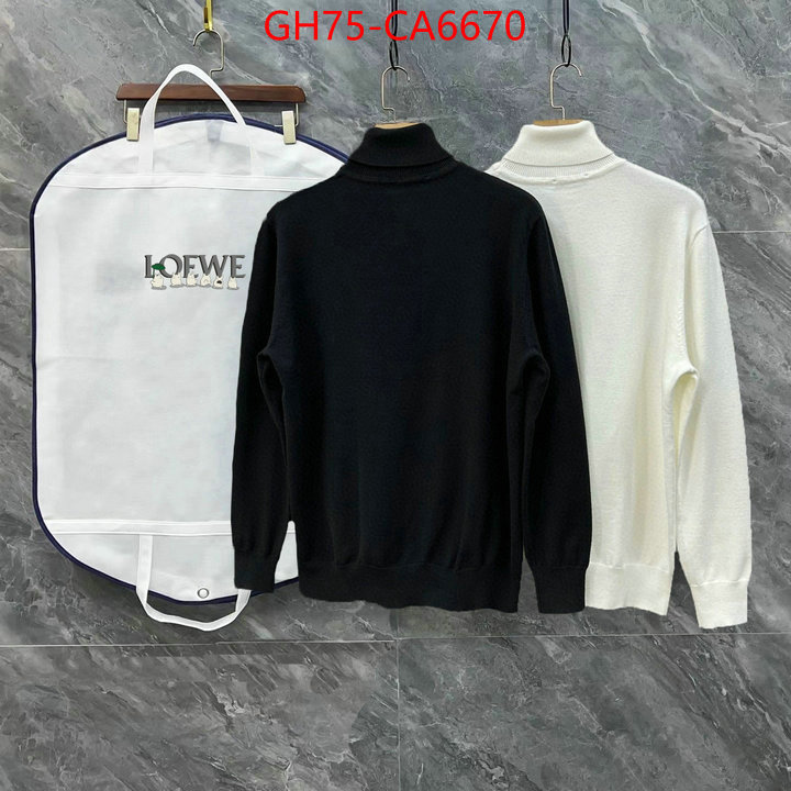 Clothing-Loewe china sale ID: CA6670 $: 75USD