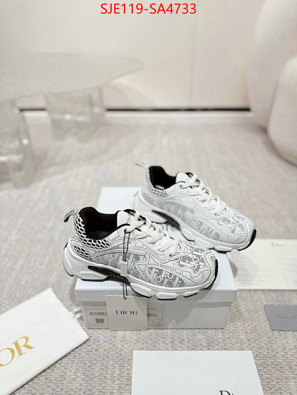 Women Shoes-Dior good ID: SA4733 $: 119USD