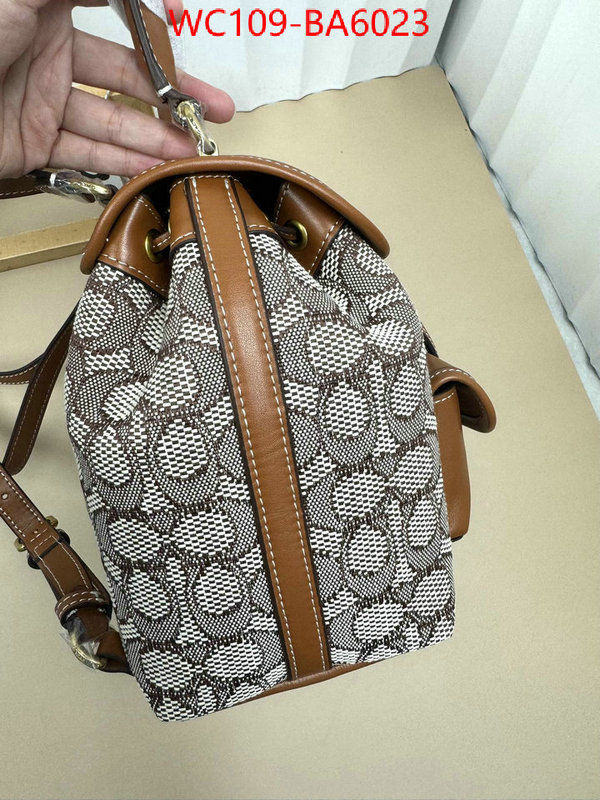 Coach Bags(4A)-Backpack- luxury cheap ID: BA6023 $: 109USD,