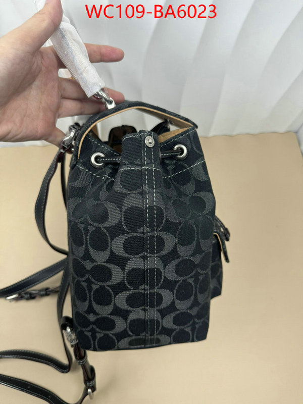 Coach Bags(4A)-Backpack- luxury cheap ID: BA6023 $: 109USD,