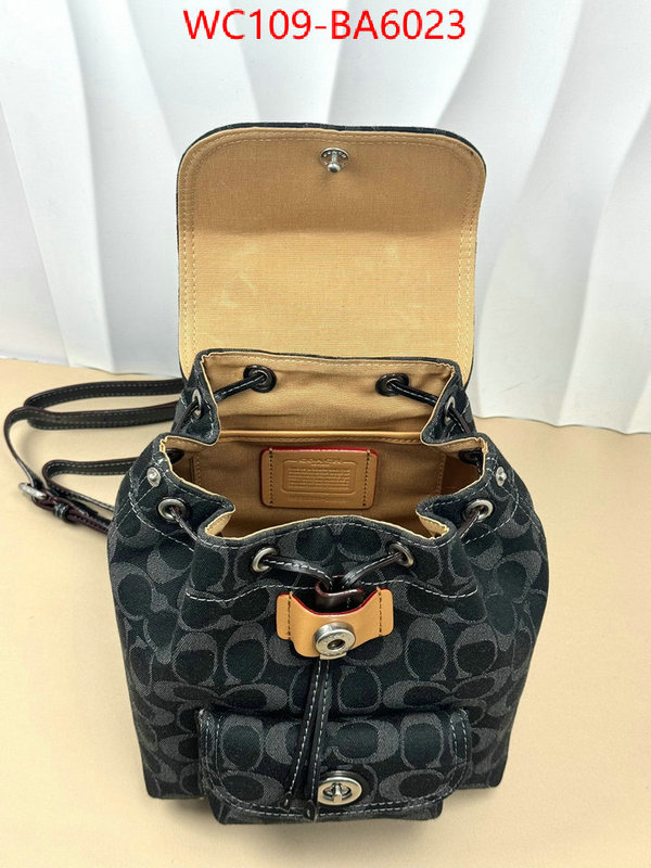 Coach Bags(4A)-Backpack- luxury cheap ID: BA6023 $: 109USD,