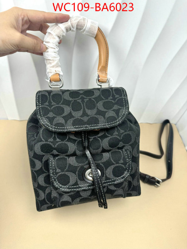 Coach Bags(4A)-Backpack- luxury cheap ID: BA6023 $: 109USD,