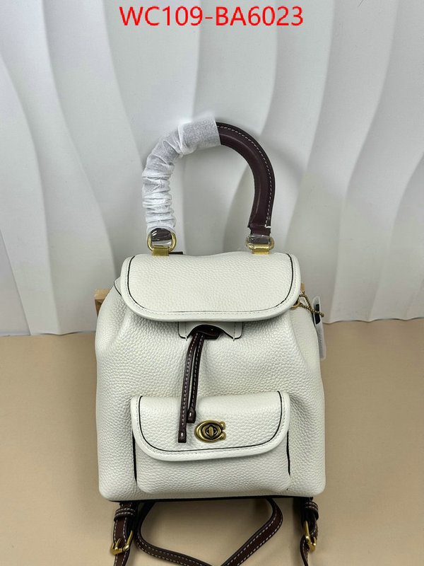 Coach Bags(4A)-Backpack- luxury cheap ID: BA6023 $: 109USD,