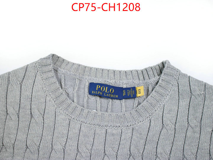 Clothing-Ralph Lauren top quality replica ID: CH1208 $: 75USD