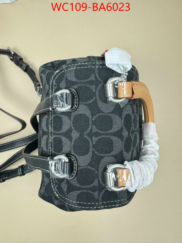 Coach Bags(4A)-Backpack- luxury cheap ID: BA6023 $: 109USD,