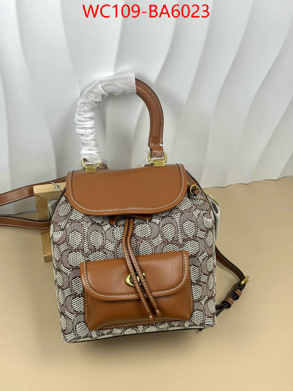 Coach Bags(4A)-Backpack- luxury cheap ID: BA6023 $: 109USD,