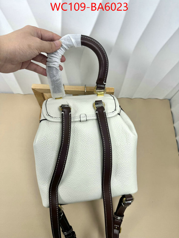 Coach Bags(4A)-Backpack- luxury cheap ID: BA6023 $: 109USD,