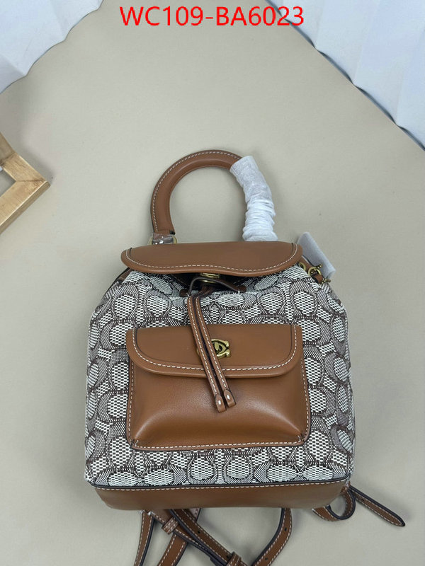 Coach Bags(4A)-Backpack- luxury cheap ID: BA6023 $: 109USD,