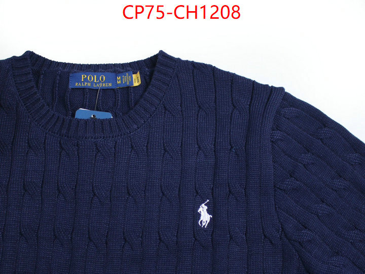 Clothing-Ralph Lauren top quality replica ID: CH1208 $: 75USD