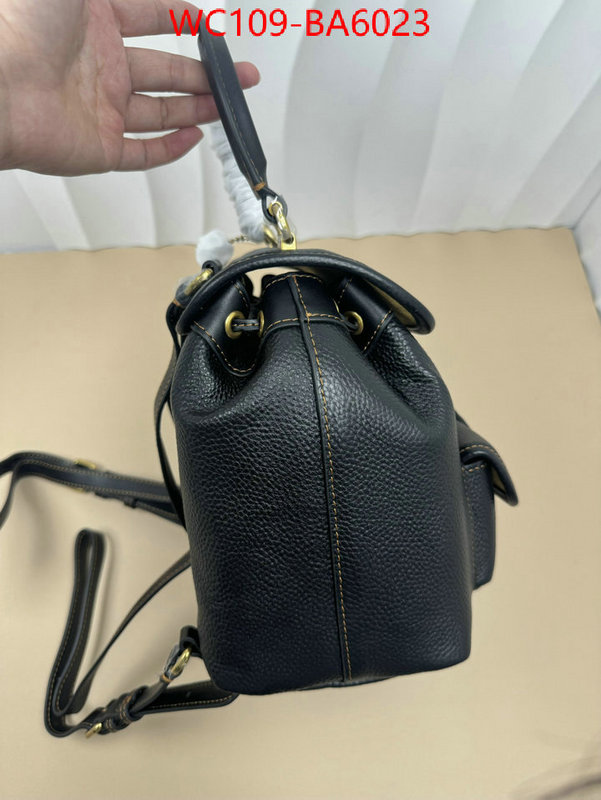 Coach Bags(4A)-Backpack- luxury cheap ID: BA6023 $: 109USD,