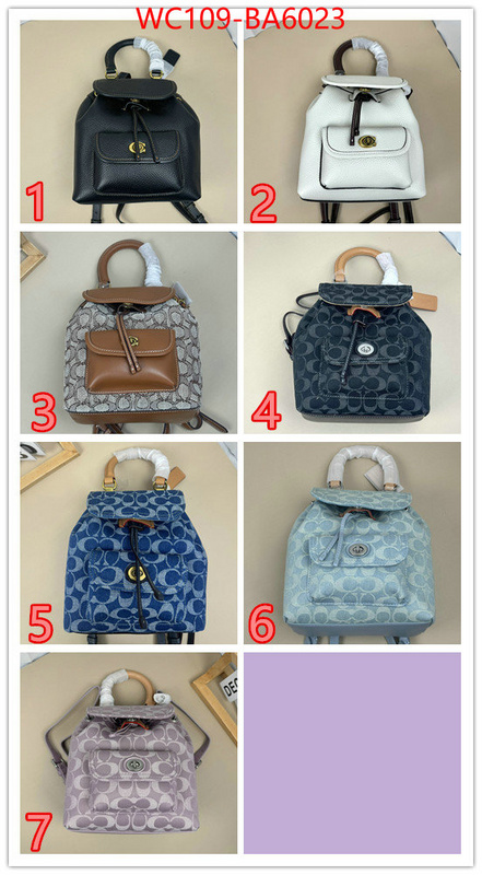 Coach Bags(4A)-Backpack- luxury cheap ID: BA6023 $: 109USD,