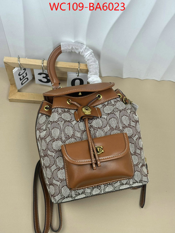 Coach Bags(4A)-Backpack- luxury cheap ID: BA6023 $: 109USD,