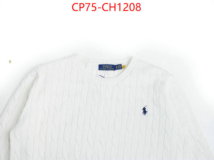 Clothing-Ralph Lauren top quality replica ID: CH1208 $: 75USD