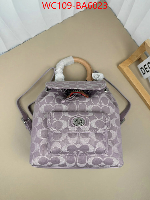 Coach Bags(4A)-Backpack- luxury cheap ID: BA6023 $: 109USD,