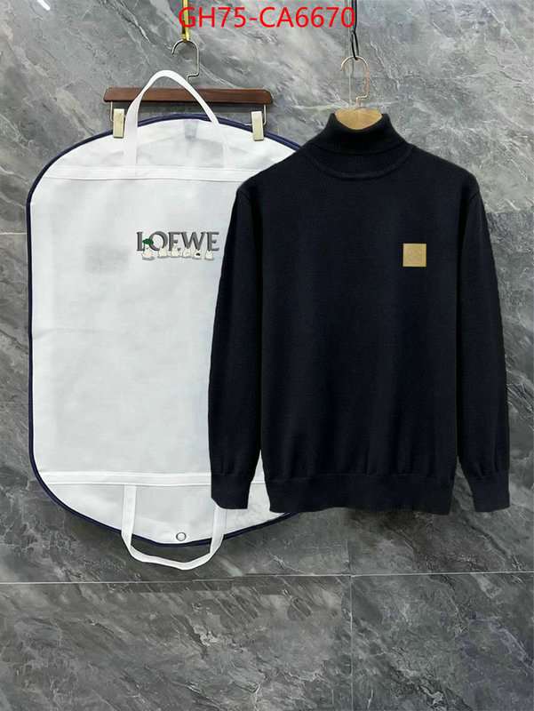 Clothing-Loewe china sale ID: CA6670 $: 75USD