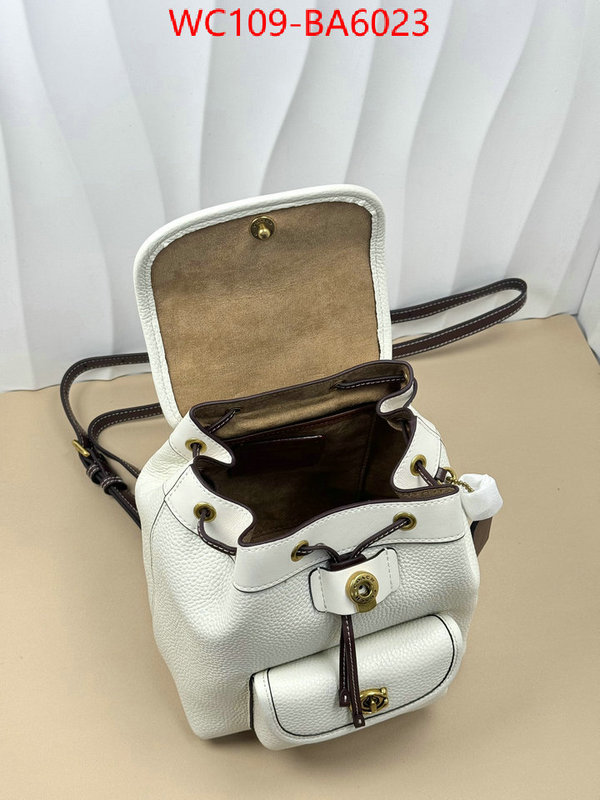 Coach Bags(4A)-Backpack- luxury cheap ID: BA6023 $: 109USD,