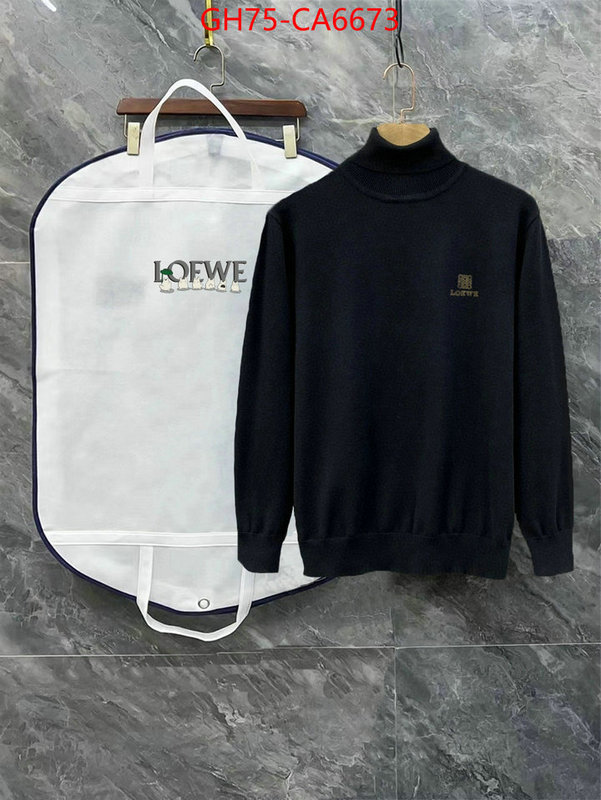 Clothing-Loewe what is aaaaa quality ID: CA6673 $: 75USD