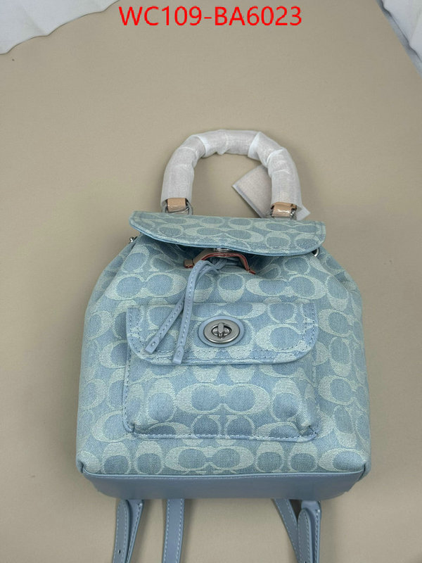 Coach Bags(4A)-Backpack- luxury cheap ID: BA6023 $: 109USD,