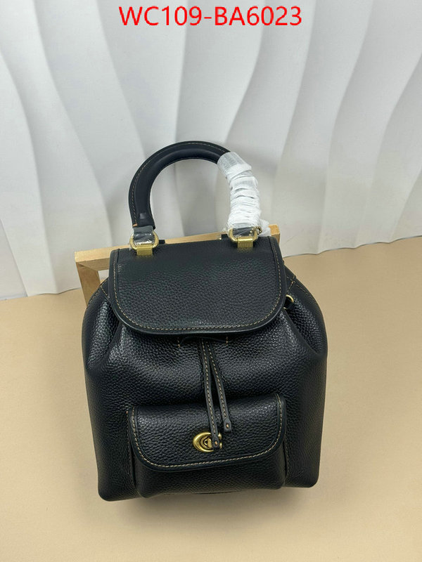 Coach Bags(4A)-Backpack- luxury cheap ID: BA6023 $: 109USD,