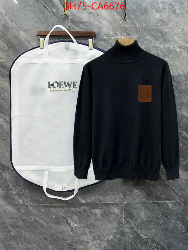 Clothing-Loewe replica every designer ID: CA6676 $: 75USD