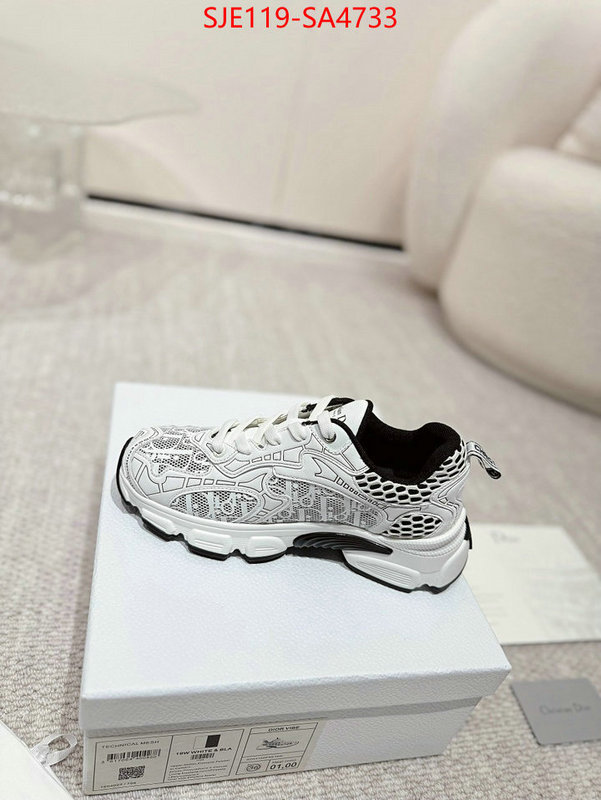 Women Shoes-Dior good ID: SA4733 $: 119USD