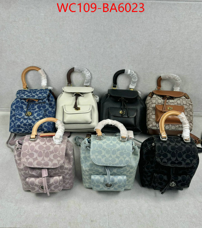 Coach Bags(4A)-Backpack- luxury cheap ID: BA6023 $: 109USD,