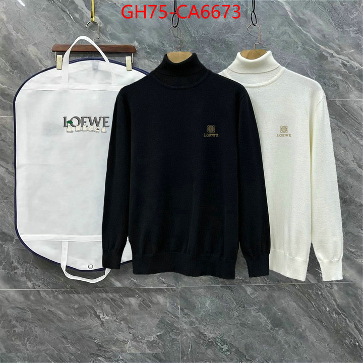 Clothing-Loewe what is aaaaa quality ID: CA6673 $: 75USD