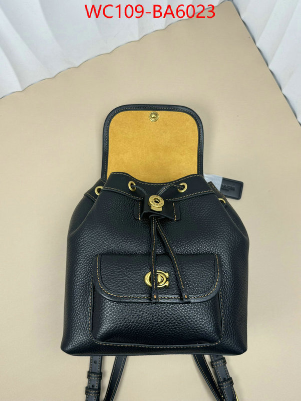 Coach Bags(4A)-Backpack- luxury cheap ID: BA6023 $: 109USD,