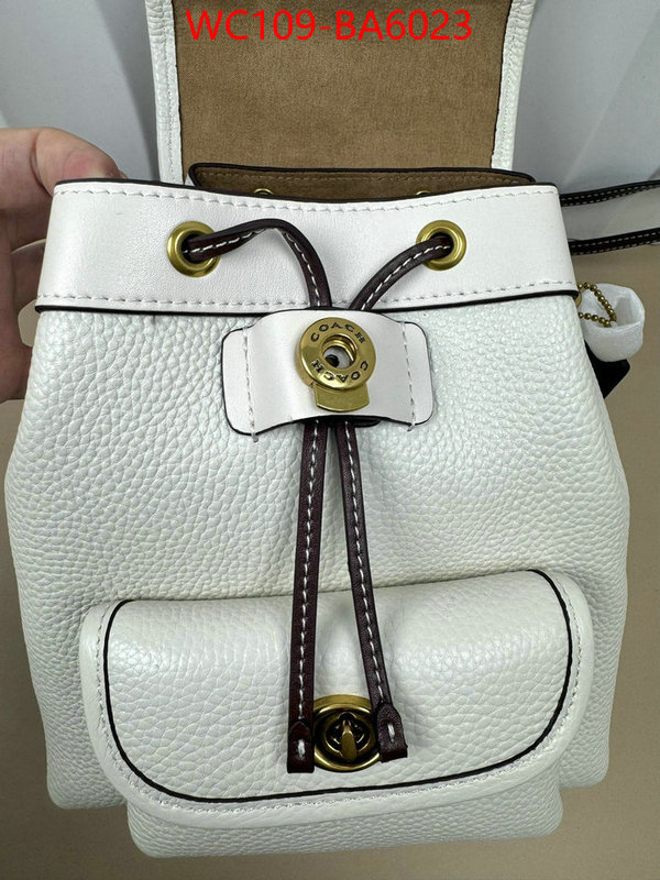 Coach Bags(4A)-Backpack- luxury cheap ID: BA6023 $: 109USD,