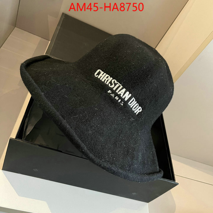 Cap (Hat)-Dior store ID: HA8750 $: 45USD