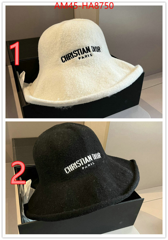 Cap (Hat)-Dior store ID: HA8750 $: 45USD