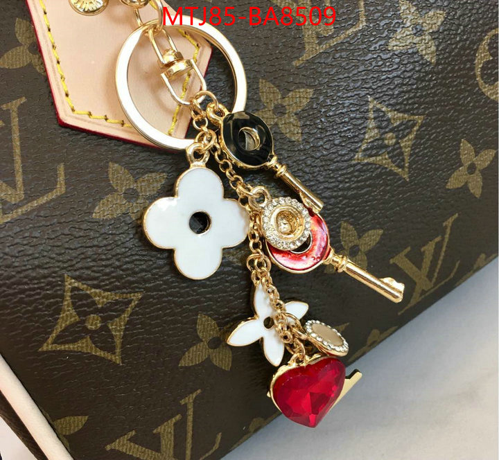 LV Bags(4A)-Speedy- where to find the best replicas ID: BA8509 $: 85USD,