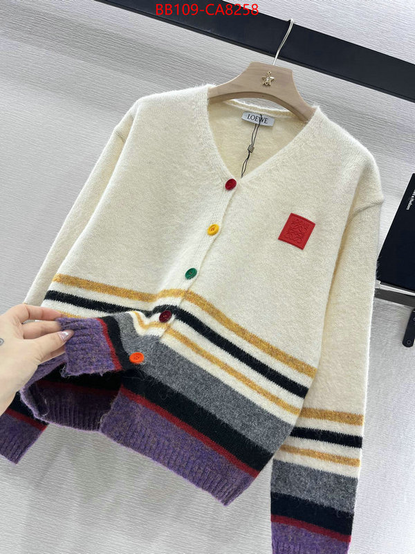 Clothing-Loewe buy luxury 2024 ID: CA8258 $: 109USD