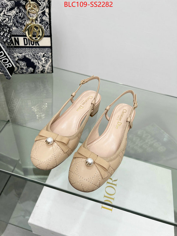 Women Shoes-Dior replica every designer ID: SS2282 $: 109USD