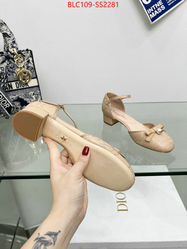 Women Shoes-Dior perfect quality designer replica ID: SS2281 $: 109USD