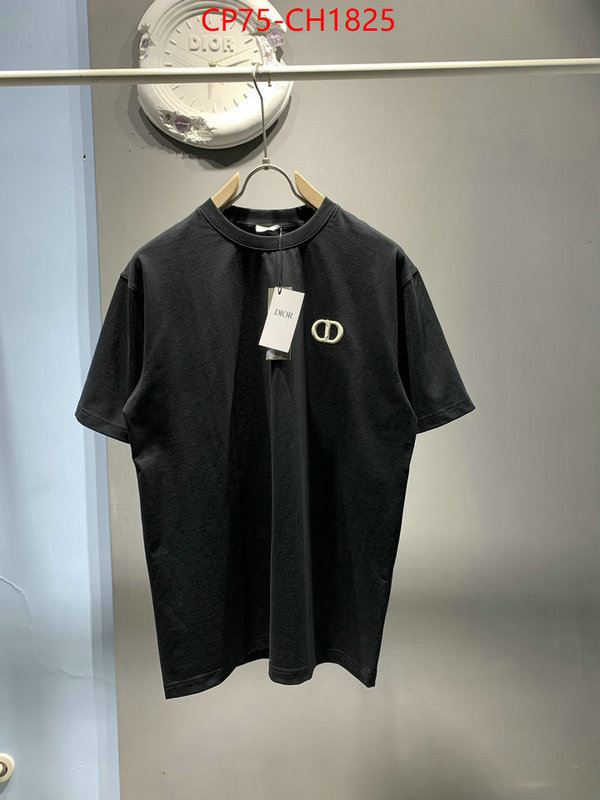 Clothing-Dior high quality designer ID: CH1825 $: 75USD