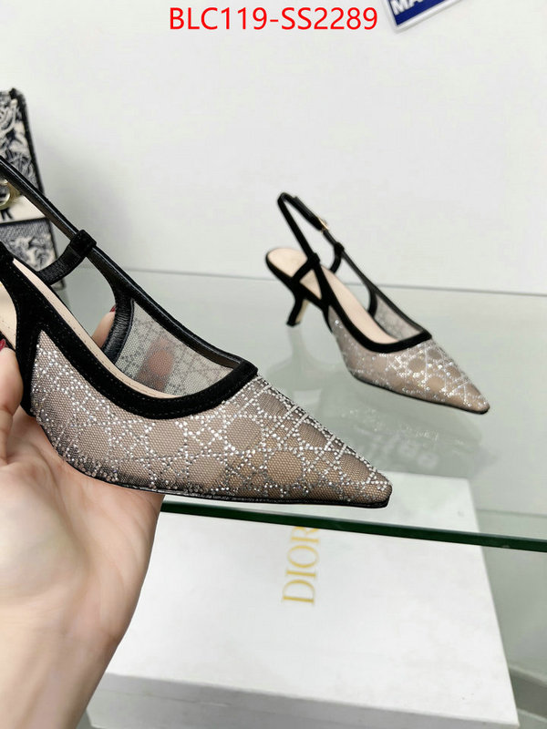 Women Shoes-Dior replica aaaaa+ designer ID: SS2289 $: 119USD