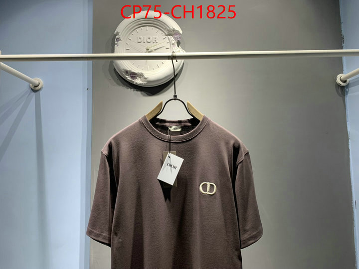 Clothing-Dior high quality designer ID: CH1825 $: 75USD