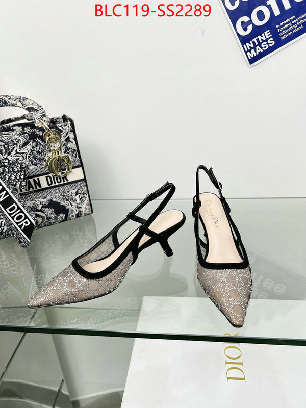 Women Shoes-Dior replica aaaaa+ designer ID: SS2289 $: 119USD