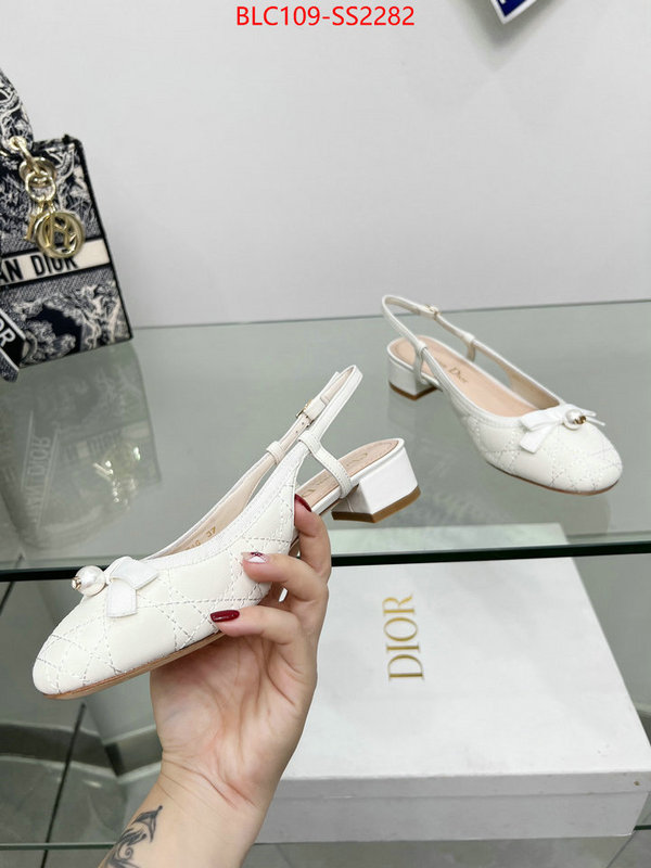 Women Shoes-Dior replica every designer ID: SS2282 $: 109USD