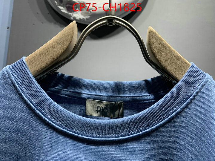 Clothing-Dior high quality designer ID: CH1825 $: 75USD