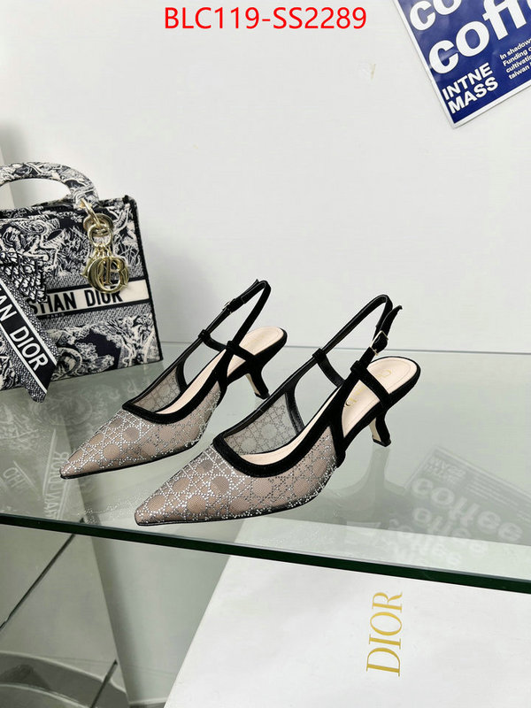 Women Shoes-Dior replica aaaaa+ designer ID: SS2289 $: 119USD