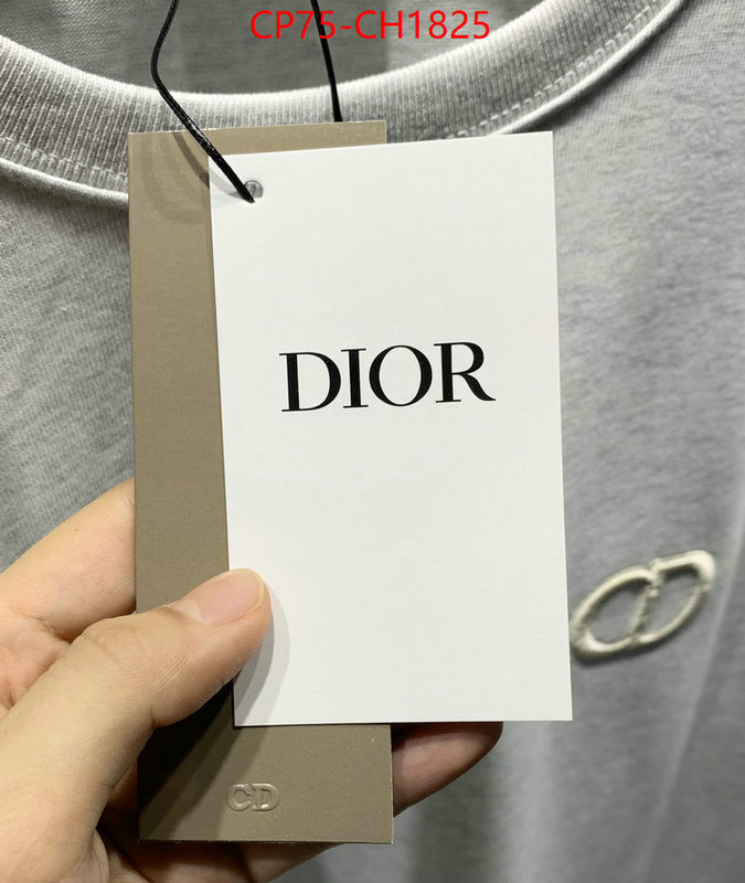 Clothing-Dior high quality designer ID: CH1825 $: 75USD