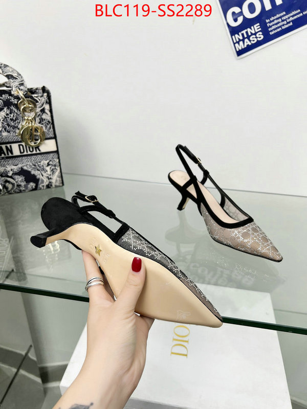 Women Shoes-Dior replica aaaaa+ designer ID: SS2289 $: 119USD