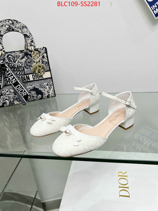 Women Shoes-Dior perfect quality designer replica ID: SS2281 $: 109USD