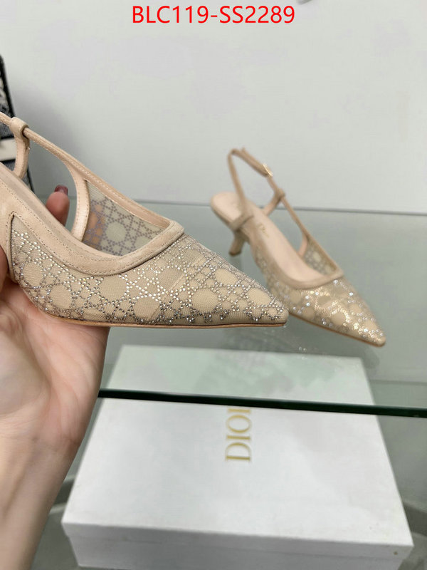 Women Shoes-Dior replica aaaaa+ designer ID: SS2289 $: 119USD