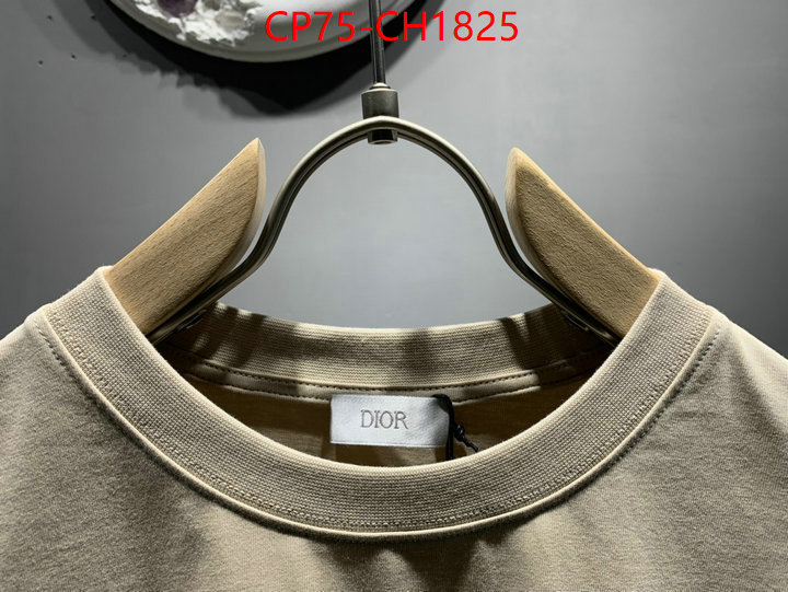 Clothing-Dior high quality designer ID: CH1825 $: 75USD