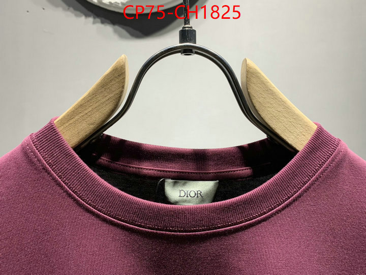 Clothing-Dior high quality designer ID: CH1825 $: 75USD